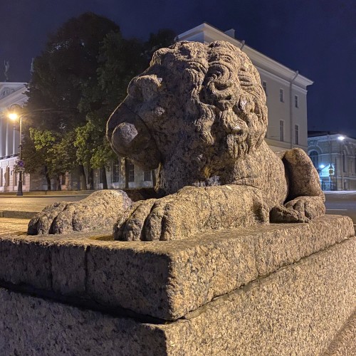 Семь мостов Петербурга с разведением или без: большая обзорная экскурсия