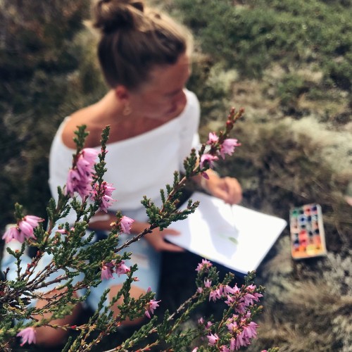 Живописный пленэр в Новой Голландии