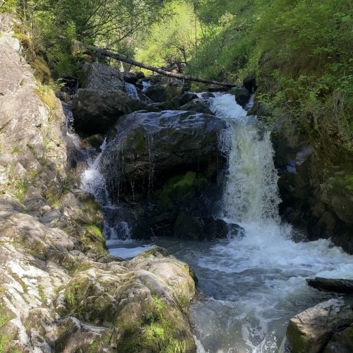 Автопутешествие по знаковым местам Алтая