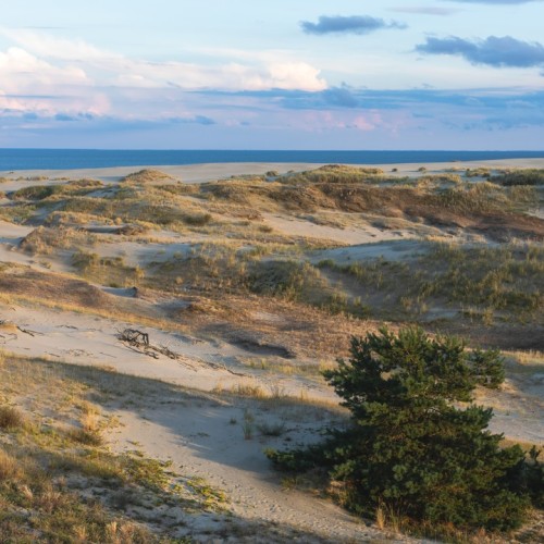 История и природа области: Калининград, Черняховск, Куршская коса и Зеленоградск