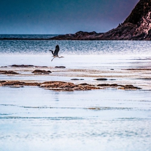 Путешествие на Дальний Восток: Сахалин и Кунашир