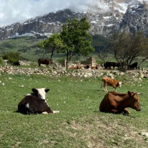Путешествие по Осетии с поездкой в Грозный и к Эльбрусу