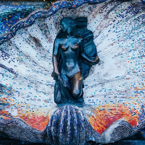 Море, котики, курорты: главное в Калининградской области