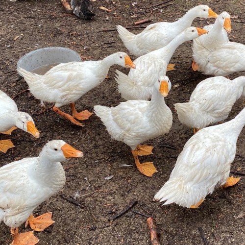 Приключения в Арктике в мини-группе: Териберка, Ловозеро, Хибины и Кировск с активностями