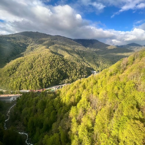 Вкусы черноморского побережья: винное путешествие по Сочи, Новороссийску, Геленджику, Анапе и Тамани