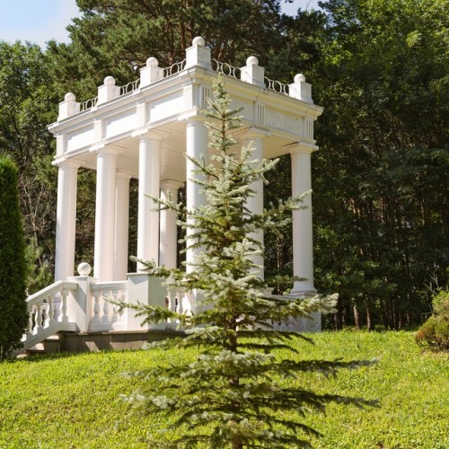 Кавказ для вас индивидуально: горный Кисловодск, легендарный Домбай и Верхняя Балкария