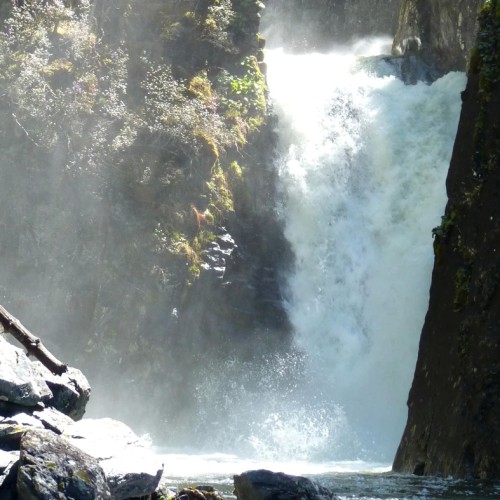 Из Горно-Алтайска в посёлок Яйлю и на Телецкое озеро — на катере