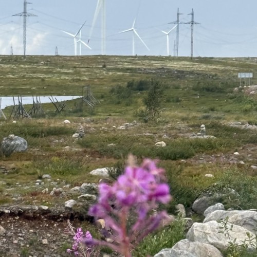 Экспресс-выезд в Териберку: гастрономия, северное сияние, главные места, хаски и олени