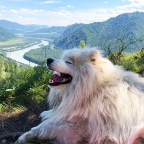 Возрождающая сила Алтая: ретрит-тур в женской компании