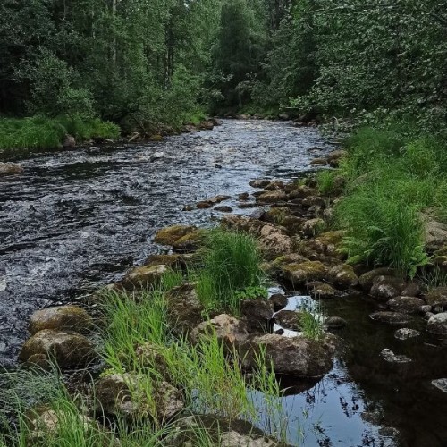 Рыбалка на Ладожском озере: перезагрузка вдали от города с комфортом (всё включено)