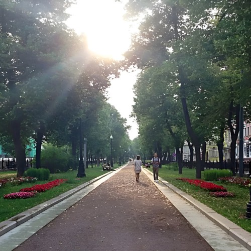 Петровский бульвар