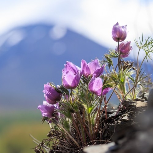 Колымские приключения: Магадан и окрестности в формате «всё включено»
