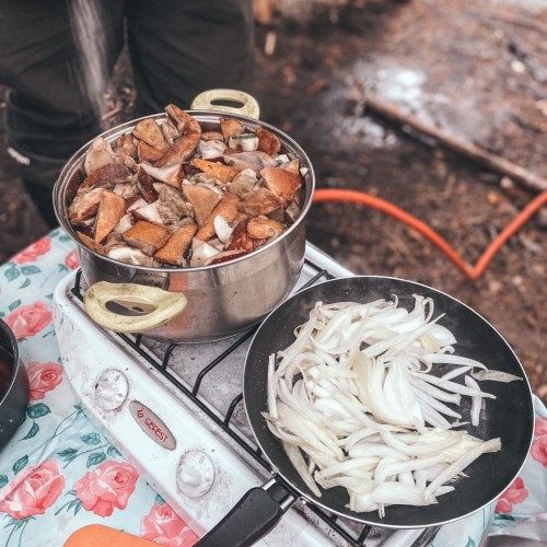 Детокс в Карелии: место силы, дары леса и походная романтика (всё включено)