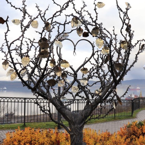 Приключения в Арктике в мини-группе: Териберка, Ловозеро, Хибины и Кировск с активностями