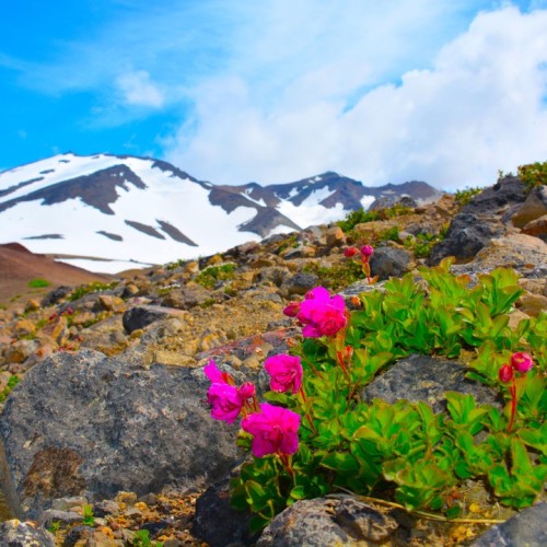 Джип-приключение на Камчатке: главные места, озеро медведей и треккинги
