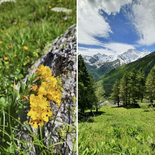 Лёгкий треккинг в Приэльбрусье с проживанием в гостинице