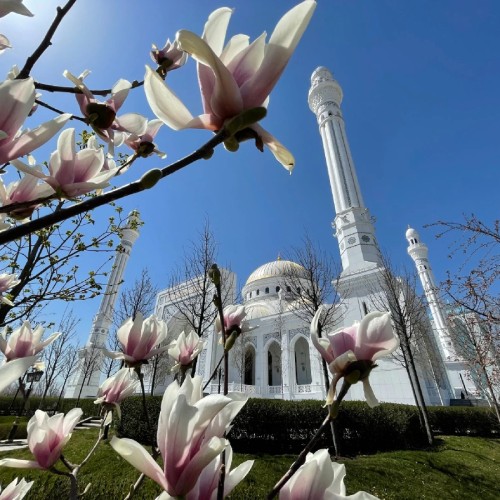 Влюбиться в Грозный за один день