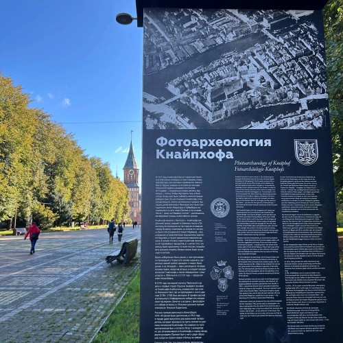 Лучший день в Калининграде: экскурсия по центру + дегустация сыра (всё включено)
