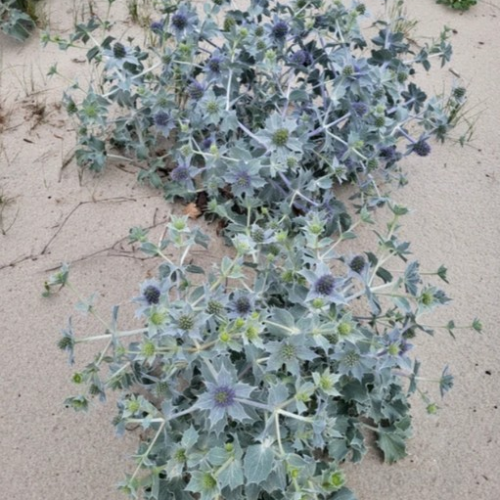 Персональная перезагрузка на Балтийской косе