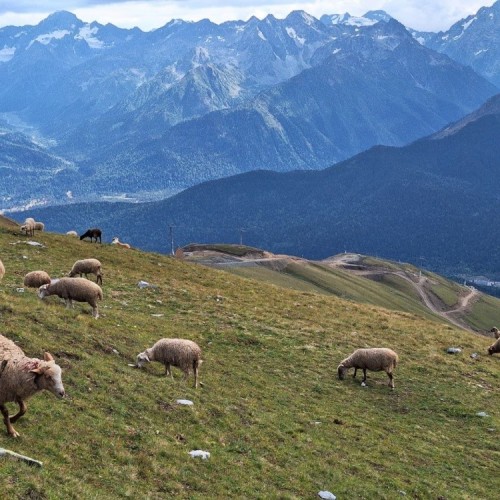Семейный тур в Архыз с гидом-аниматором: несложные треккинги в живописных горах