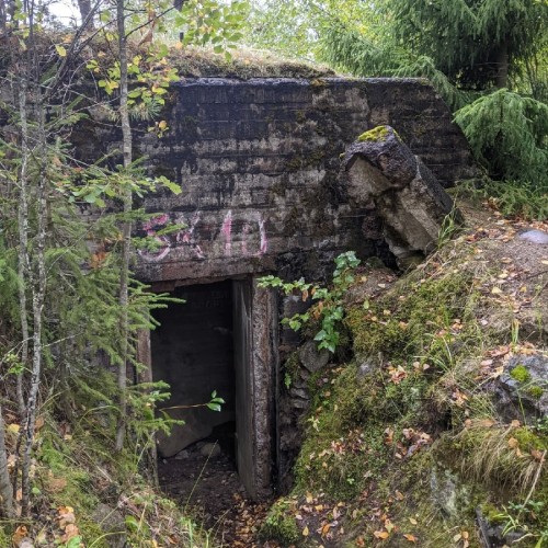 По тропам линии Маннергейма: подземные бункеры в карельских лесах