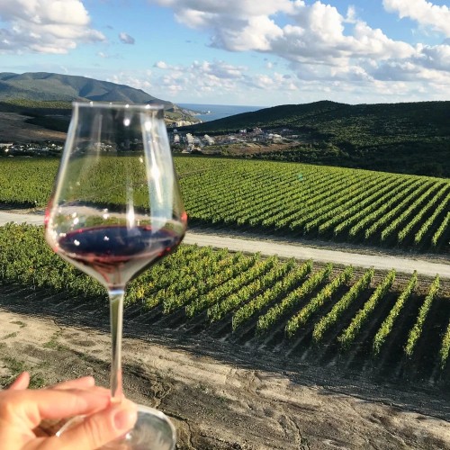 На одной широте с виноградниками Италии: гастропутешествие по винодельням Краснодарского края