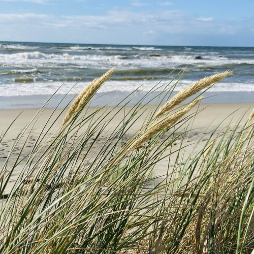 Насыщенные выходные в Калининградской области: автопутешествие только для вашей компании