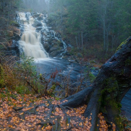 Там, где властвует природа: индивидуально в Карелию с гидом-фотографом