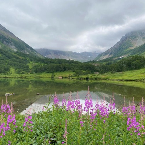 Камчатка в мини-группе: перевалы, бухты, сопки и купание в природных источниках