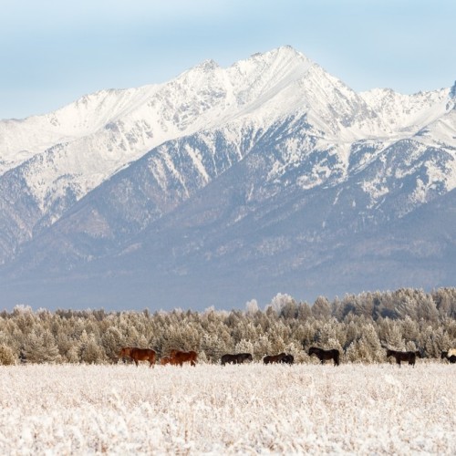 Из Иркутска в Тункинскую долину и на Байкал в мини-группе: термальные источники и природа