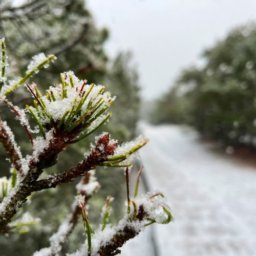 Замки, море и хомлины — лучшие места Калининградской области и дегустация на семейной сыроварне