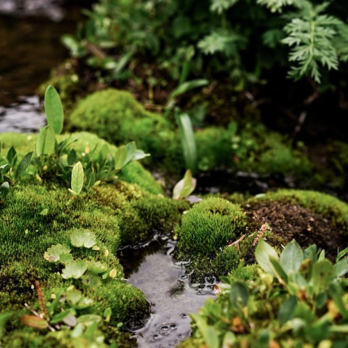 Комфорт-тур на Алтай с фотографом: полёт на вертолёте, парение и главные места (всё включено)