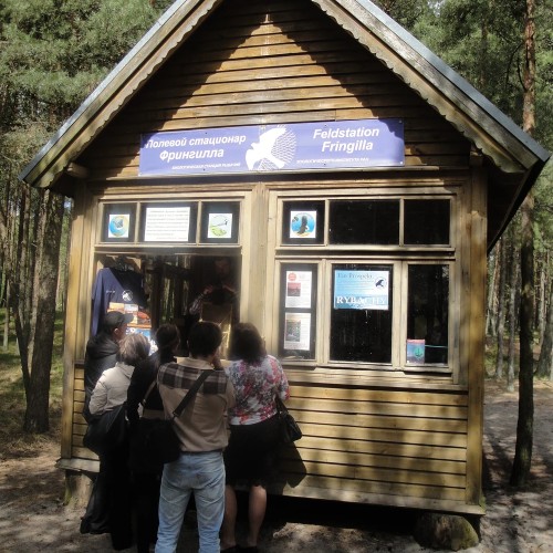 На Куршскую косу через форты и замки