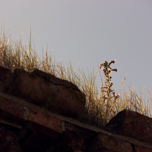 Кёнигсбергская перезагрузка: Калининград, Янтарный и Балтийск с проживанием в экоотеле на побережье