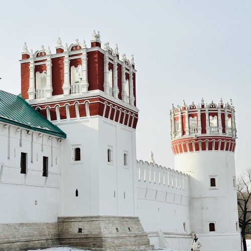 Царственные насельницы Новодевичьего монастыря