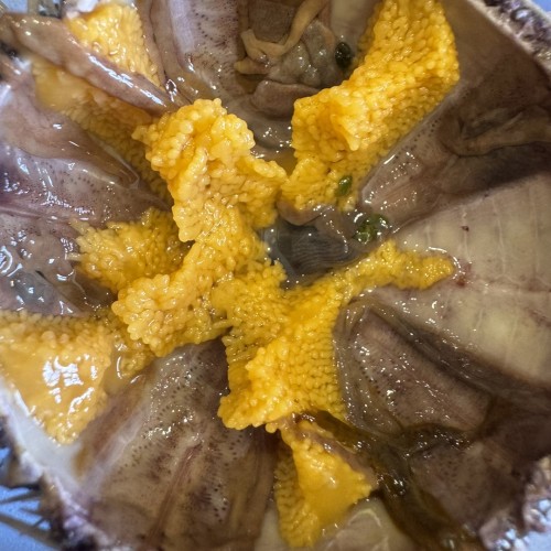 Териберка, Хибины, Мурманск: выходные в мини-группе с поездкой за северным сиянием