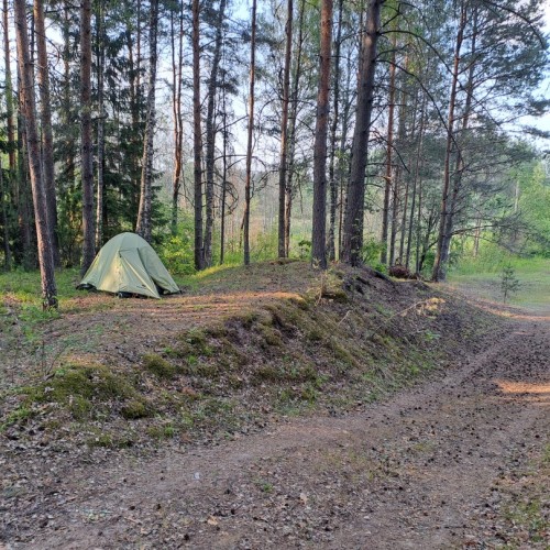 Выходные-перезагрузка на реке Шерне: сплав на байдарках (всё включено)