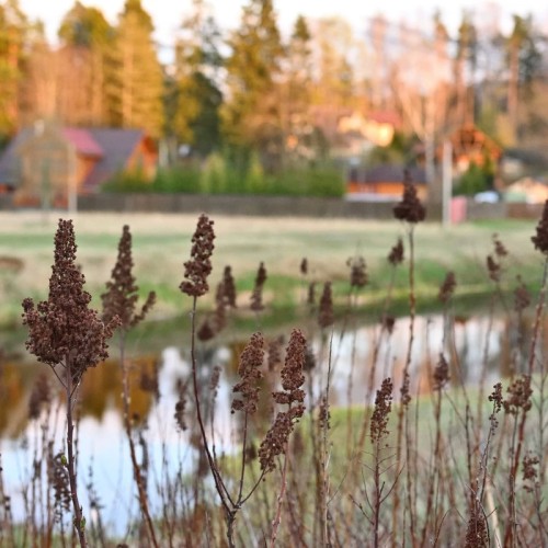 Святые места Вырицы и Гатчины (из Петербурга)
