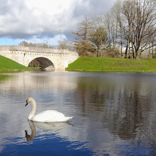 Гатчина: от императорской резиденции до столицы Ленинградской области