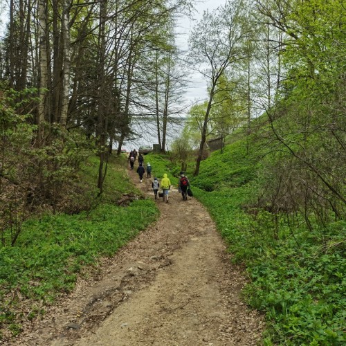 За окаменелостями музейного уровня в Ярославскую область с палеонтологом