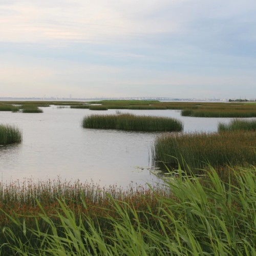 Экскурсия по прекрасной Стрельне