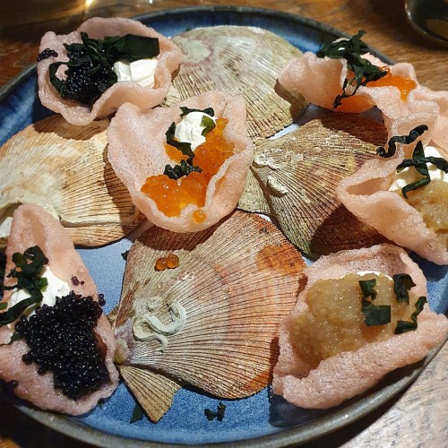 Вкусное путешествие на край света в мини-группе: Мурманск и Териберка