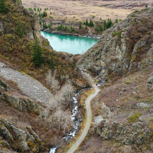 Дикий Алтай: Ороктойский мост, петроглифы и водопад Бельтертуюк