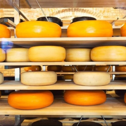 Насыщенный трип по Калининграду: дегустации, необычные маршруты, органный концерт и рыцарский турнир