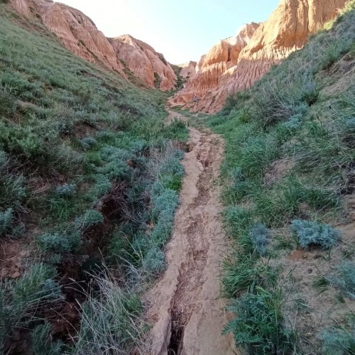 Волгоградское море: по Нижней Волге под парусами