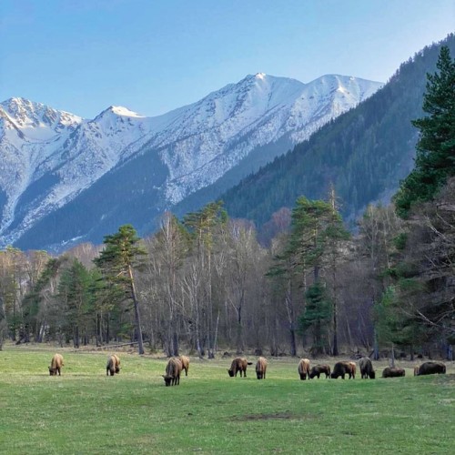 Треккинг налегке по Архызу с проживанием в гостинице