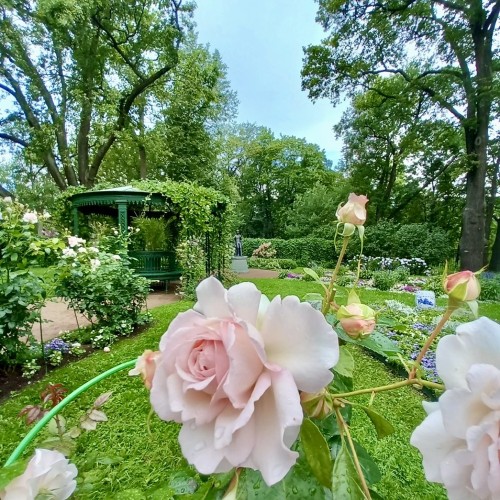 Александрия и Бельведер: островок тихой жизни Романовых