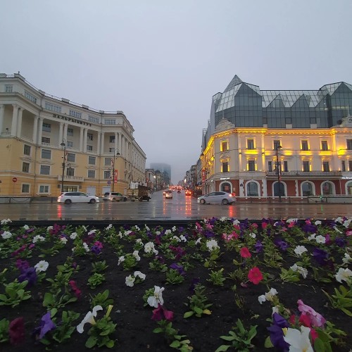 Море, маяки, мосты: знакомство с Владивостоком