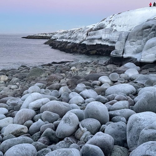 2 дня — 2 моря: к берегам Баренцева и Белого в мини-группе