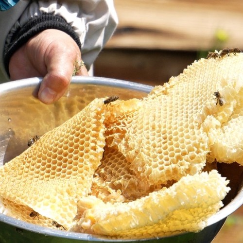 Знаковые места Чуйского и Чемальского трактов: главное в Горном Алтае